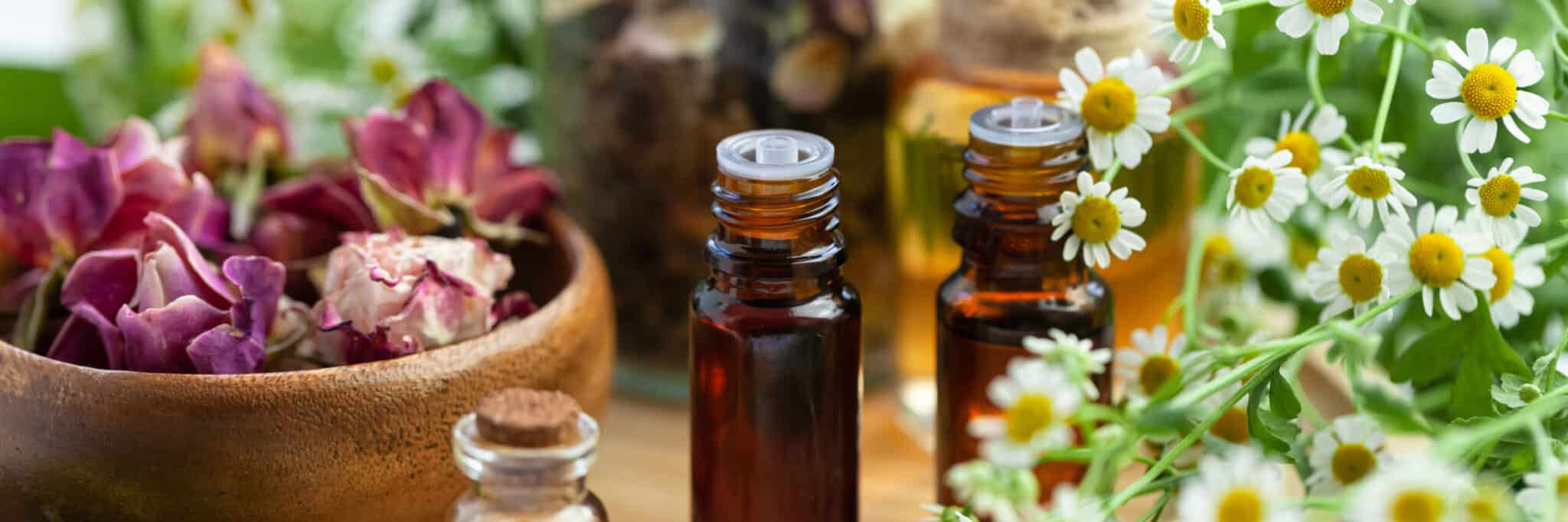 Assortment of organic essential oils. Natural moisturizing body and face treatment. Rose, camomile extract for healthy young skin. Relaxation, aromatherapy, salon spa. Close up, macro view. Banner