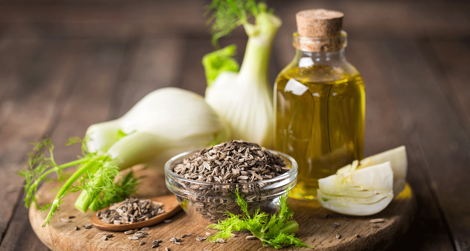 Fenchelöl, Fenchel und Samen auf einem Tablett
