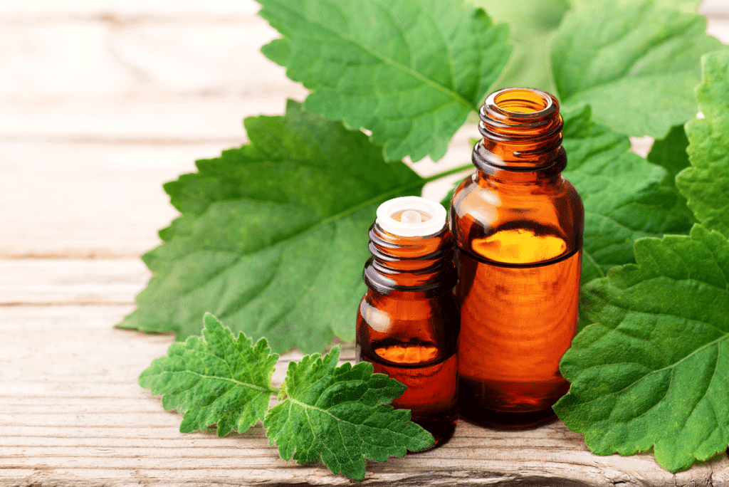 Zwei Fläschchen ätherisches Öl vor ein Patchouli Blättern