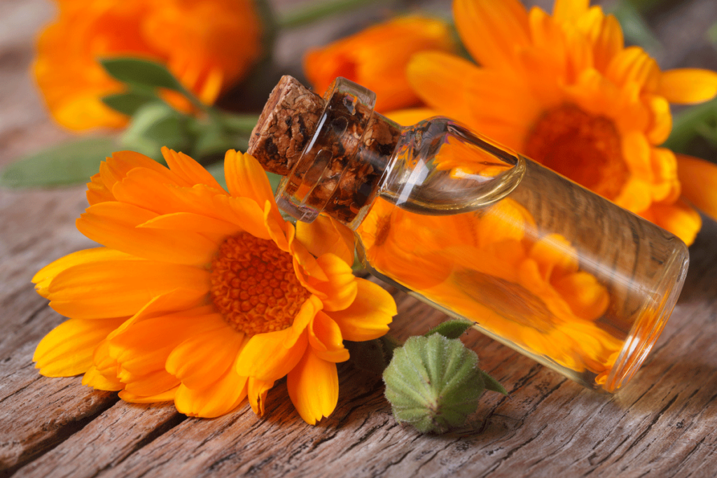 Ringelblumen mit einem Fläschchen Öl auf einem Tisch